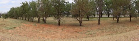 A home in Muleshoe