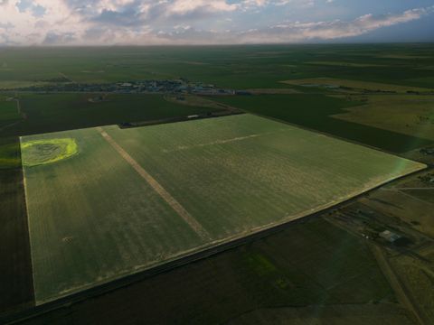 FM 168 Ropesville TX 79358