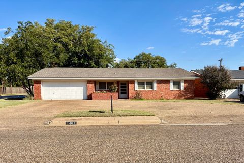 1401 E Tate Street Brownfield TX 79316