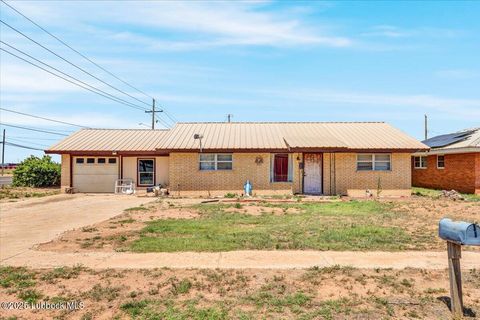 102 Eagle Avenue Levelland TX 79336