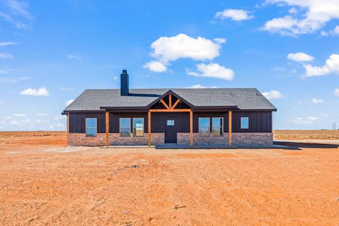 Hunt Realty - West Texas Real Estate 58 4050 Hawk Road Ropesville TX 79358