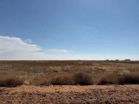 10807 County Rd 6100 Shallowater TX 79363