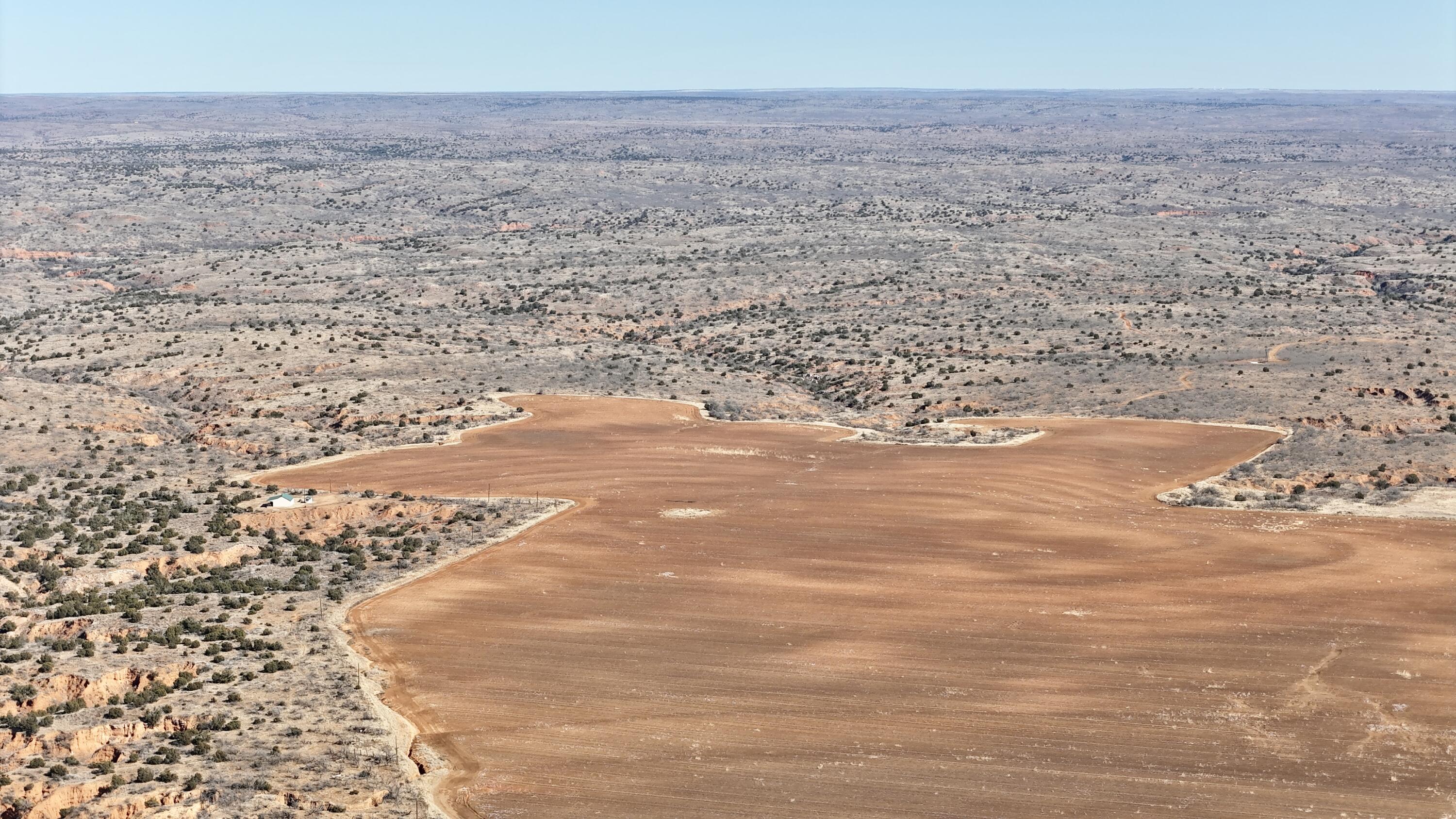 Farm To Market Road 656