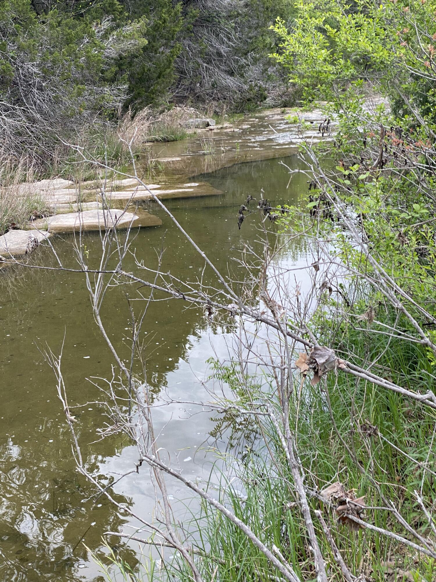 175 W Bear Creek Road, Liberty Hill, TX, 78642 4 175 W Bear Creek Road