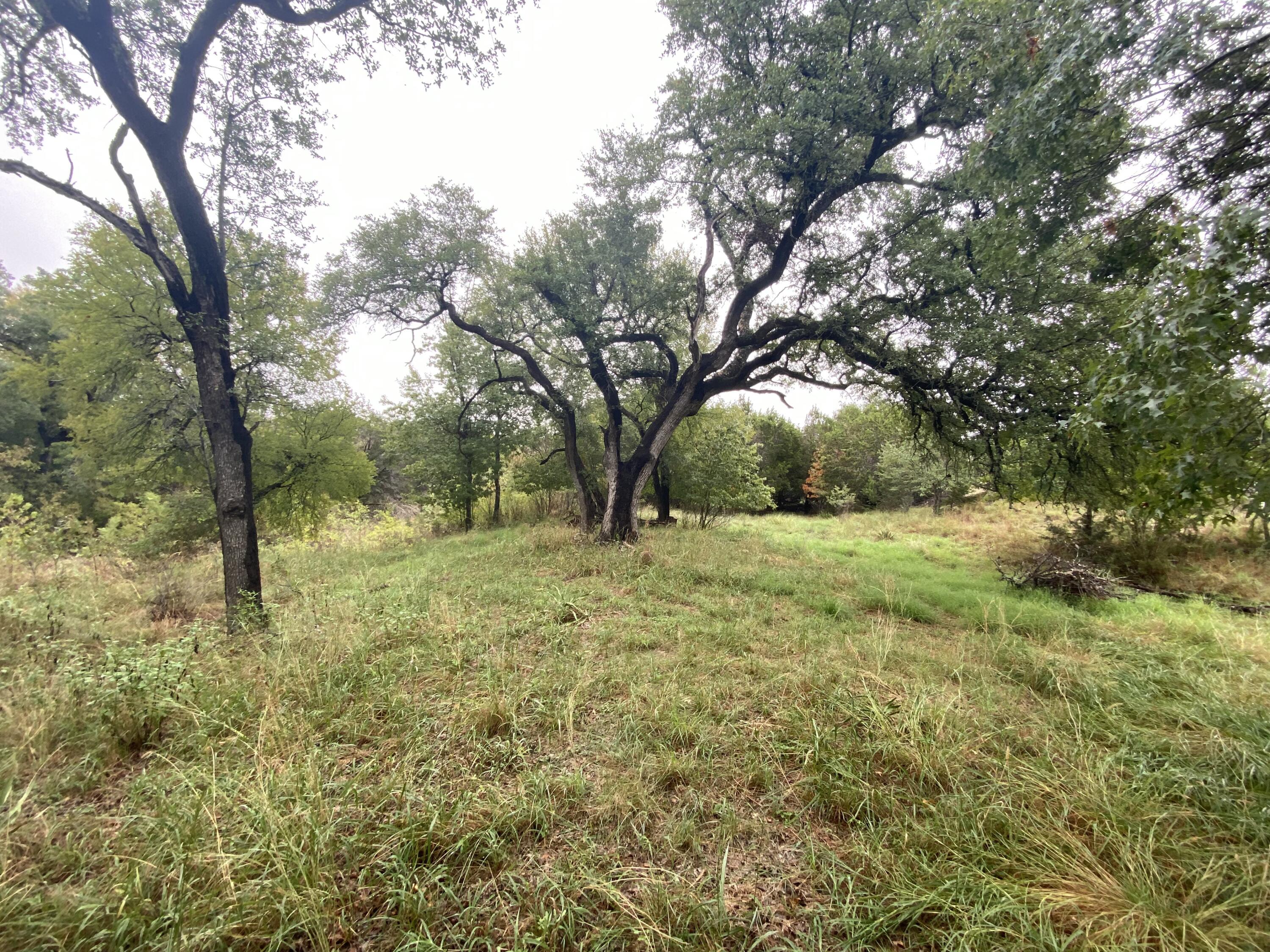 175 W Bear Creek Road, Liberty Hill, TX, 78642 3 175 W Bear Creek Road