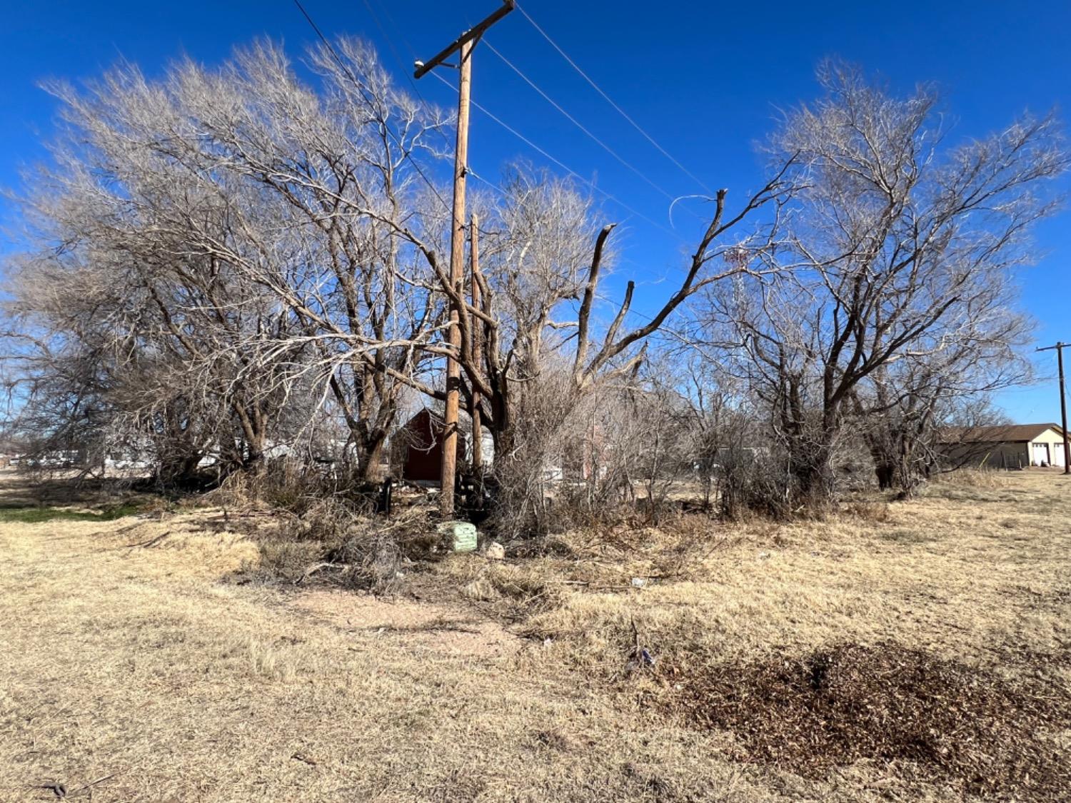 Shallowater, Texas 79363, United States, ,Land,Active,66871