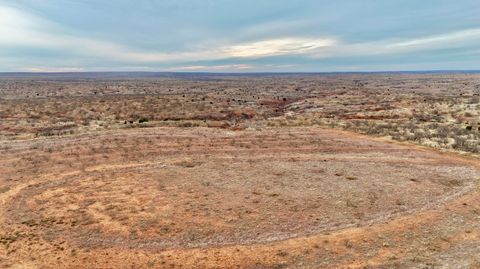 Farm To Market 1440 Cee Vee TX 79223