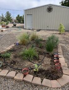 1907 US-70, Muleshoe, TX, 79347 4 1907 US-70