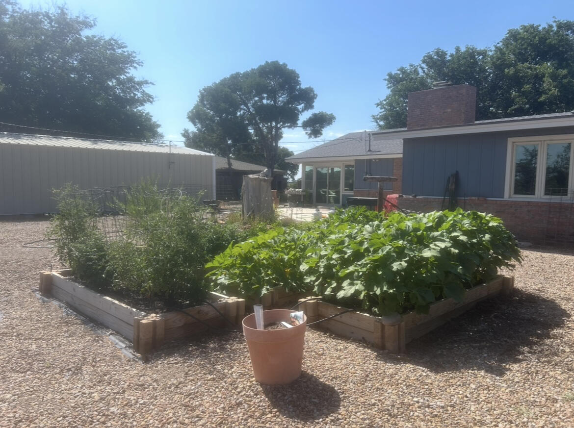 1907 US-70, Muleshoe, TX, 79347 3 1907 US-70