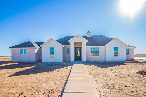 Hunt Realty - West Texas Real Estate 36 1011 County Rd 7715 Lubbock TX 79423
