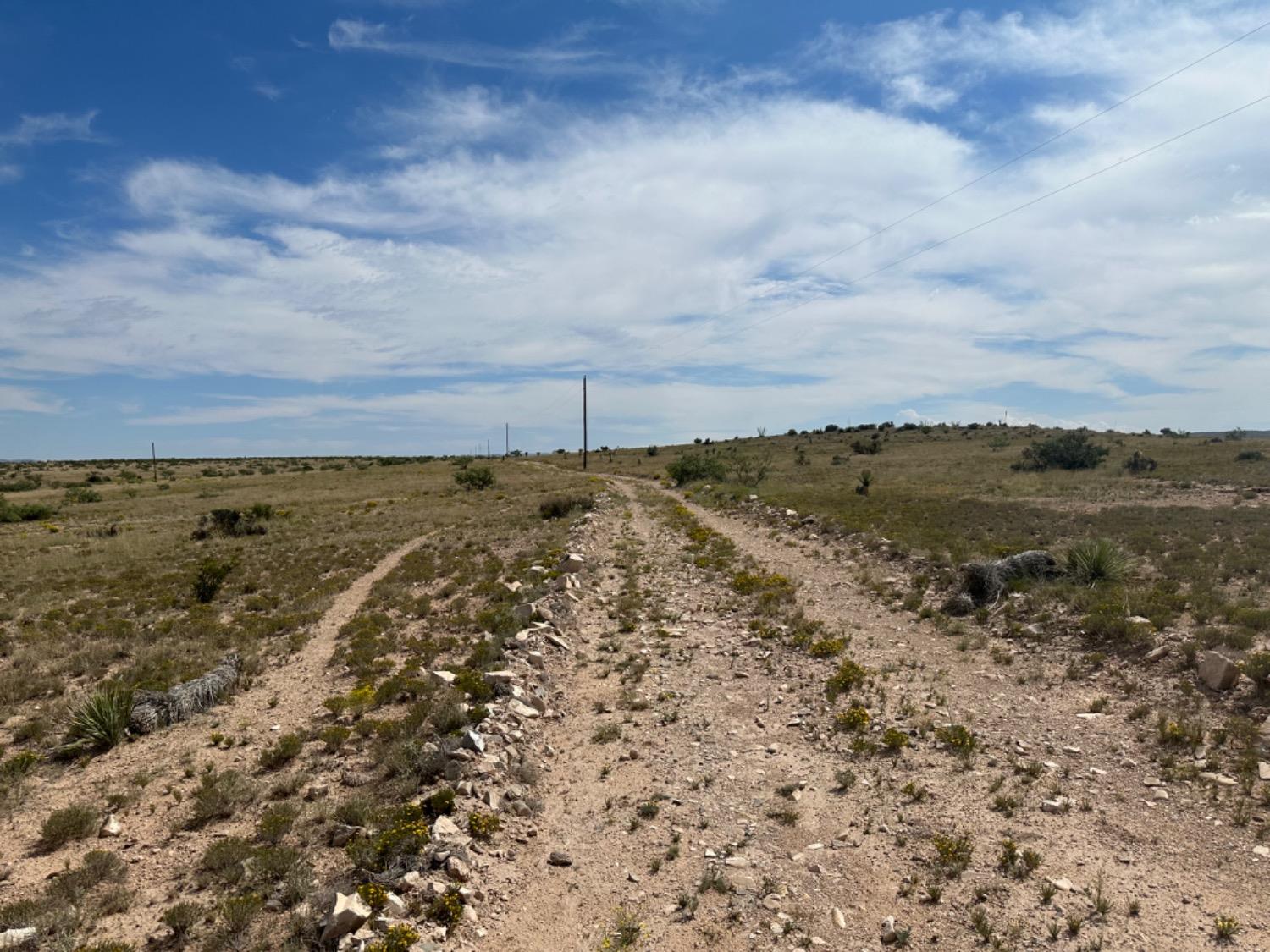 Sierra Blanca, Texas 79851, United States, ,Land,Active,44913