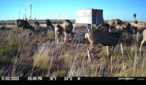 397 County Road 160 Southland TX 79364