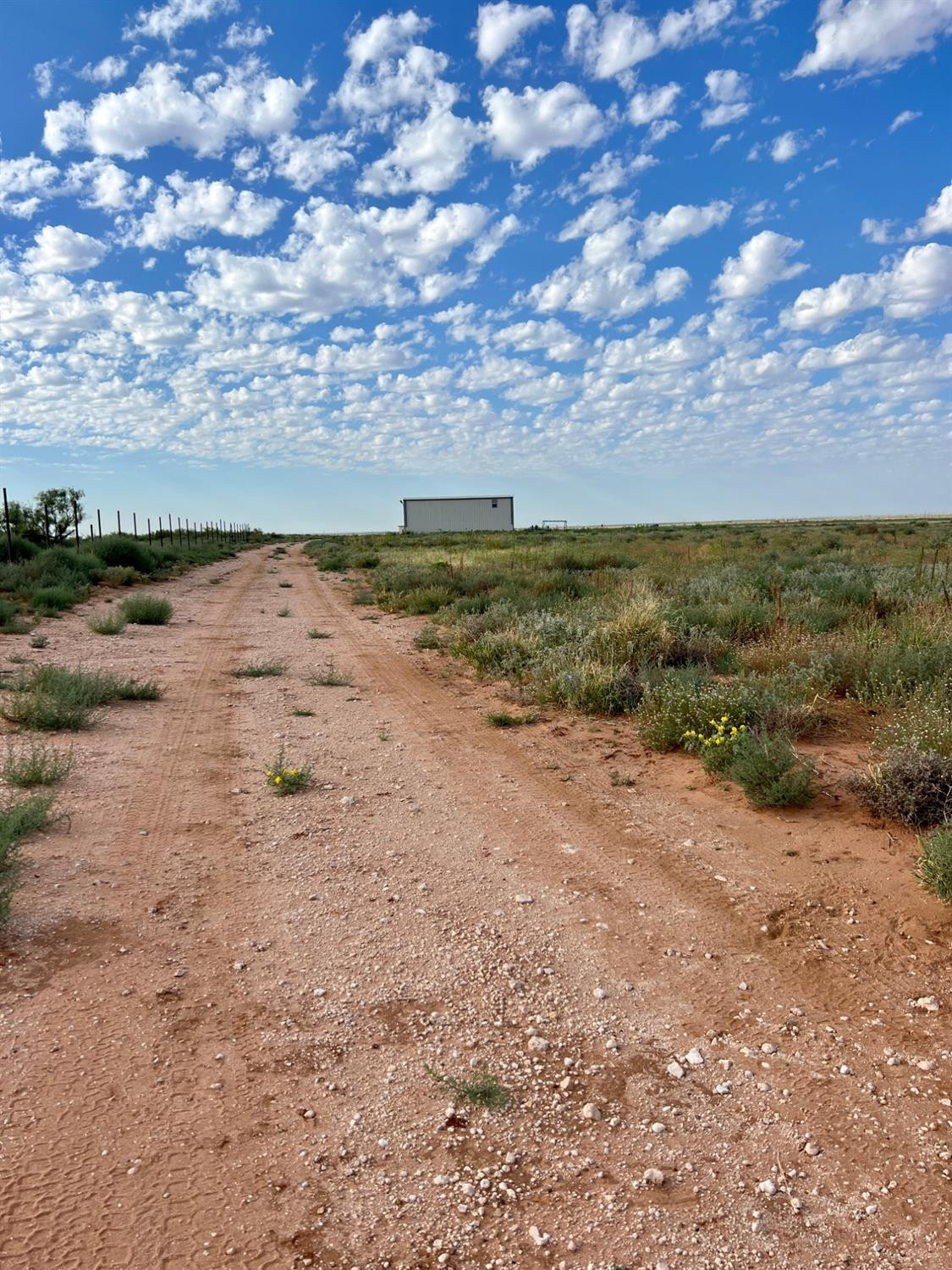 1114 County Road 260, Plains, TX, 79355 4 1114 County Road 260
