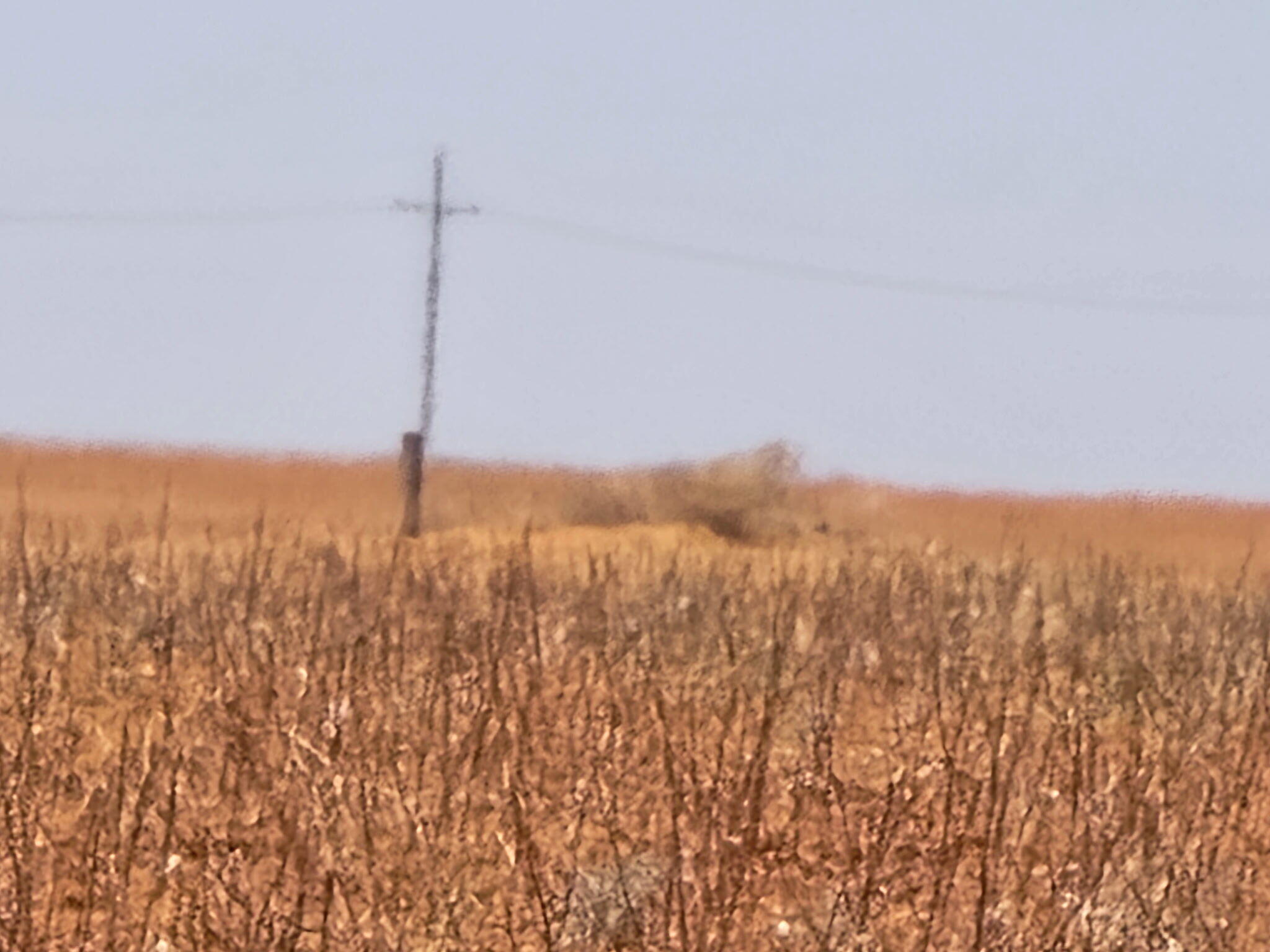 0 CR 345, Meadow, TX, 79345 1 0 CR 345
