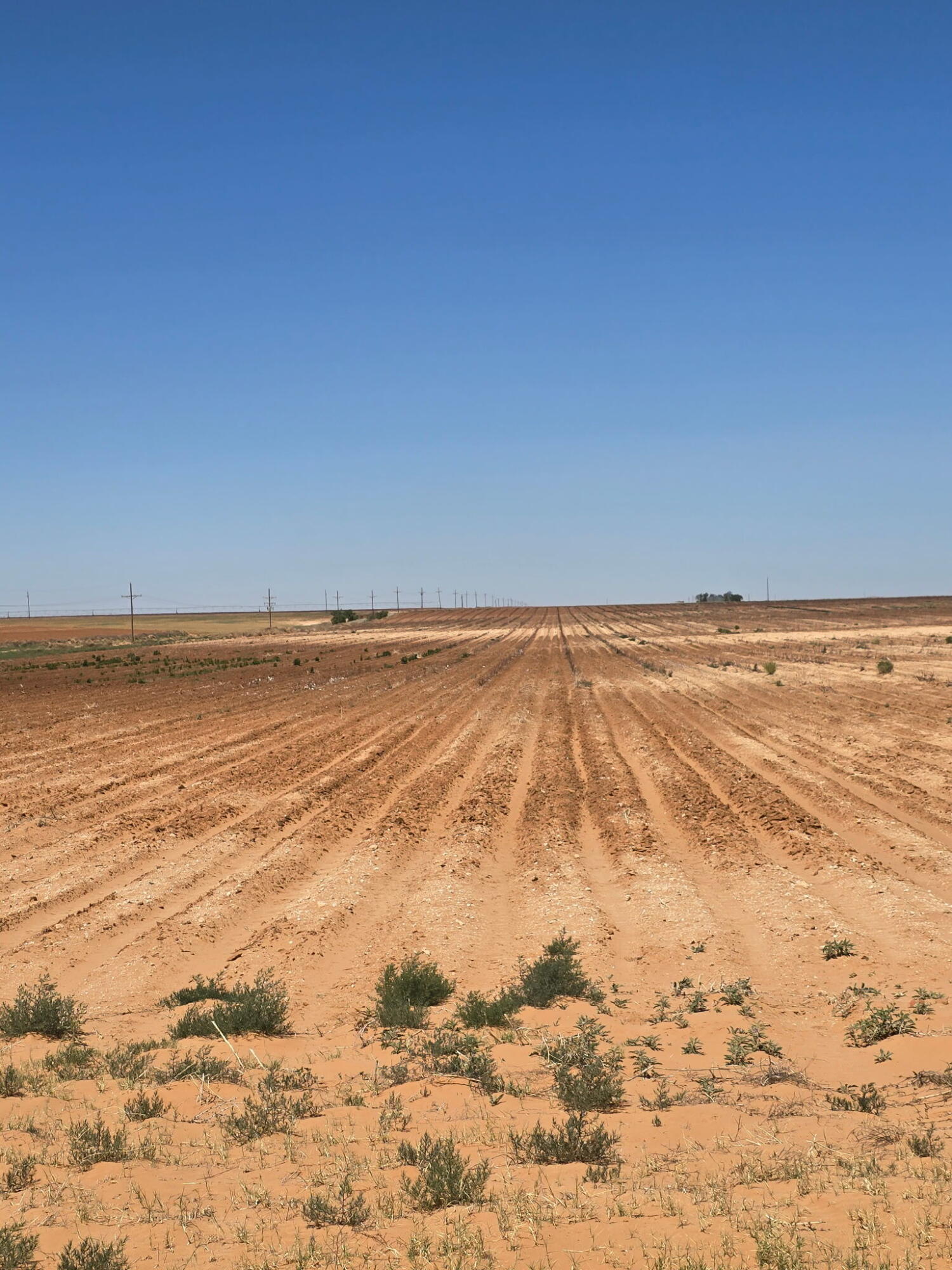0 CR 345, Meadow, TX, 79345 4 0 CR 345