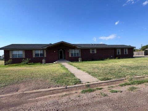1024 W Apogee Drive Lockney TX 79241