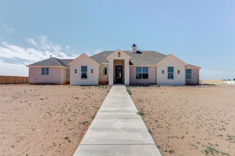 Photo of 1011 County Rd 7715, Lubbock, TX 79423 (MLS # 202606618)