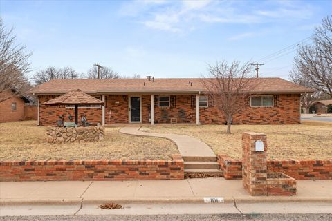 101 Willowwood Lane Levelland TX 79336