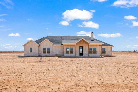 Photo of 5513 County Road 6100, Lubbock, TX 79415 (MLS # 202607237)