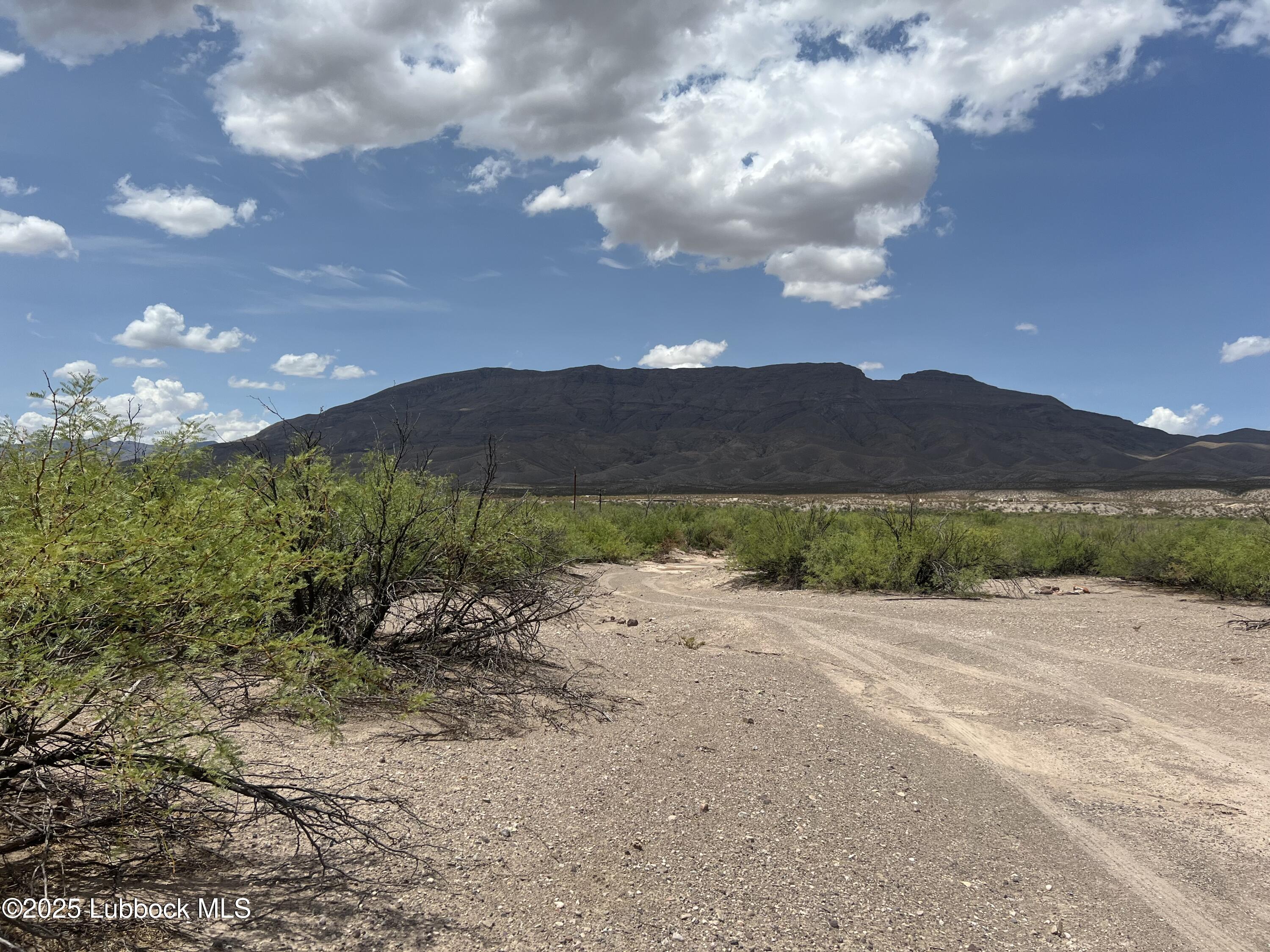 Presidio, Texas 79845, United States, ,Land,Active,119939