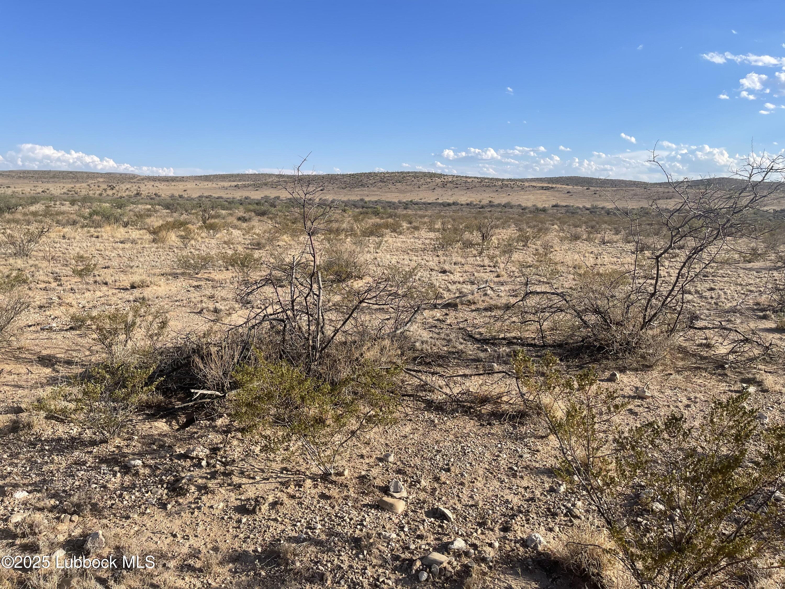 Presidio, Texas 79845, United States, ,Land,Active,119939