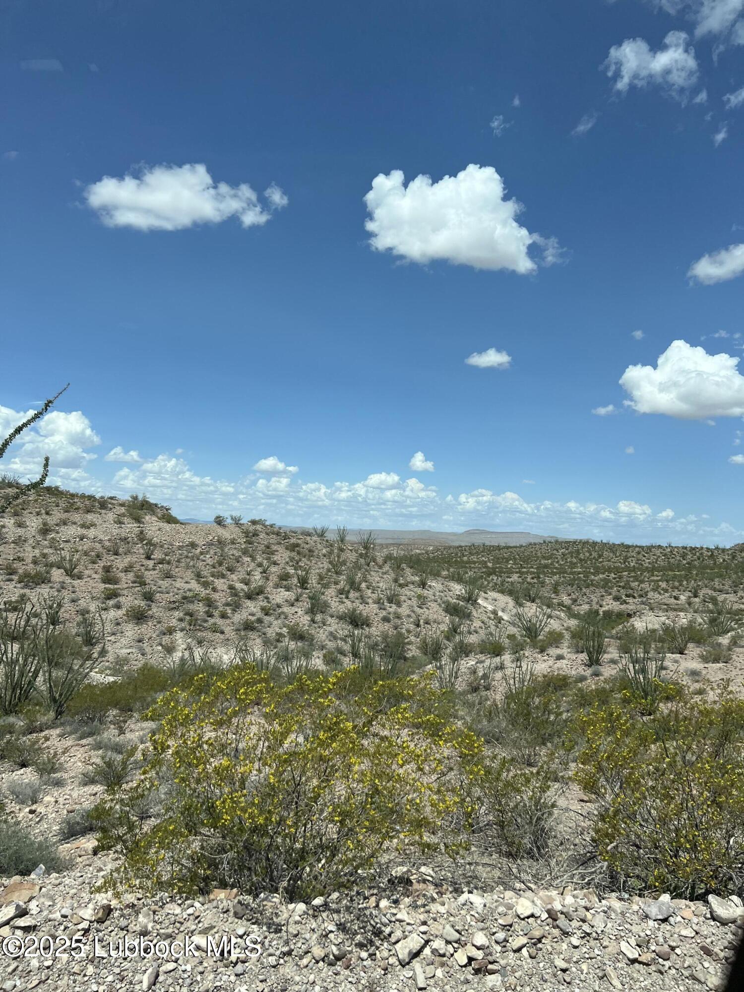 Presidio, Texas 79845, United States, ,Land,Active,119939