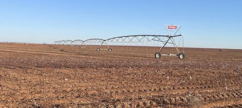 Hunt Realty - West Texas Real Estate 44 County Rd 19 Lamesa TX 79331