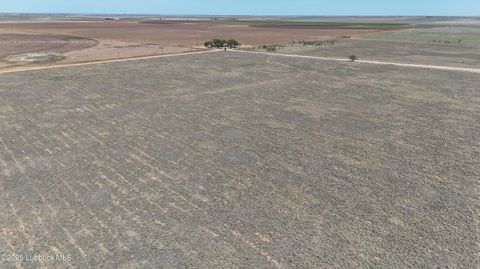 0 CR 332 Anton TX 79313