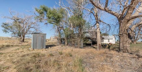 A home in Muleshoe