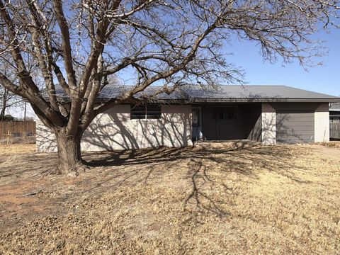 Photo of 307 E 5th Street, Sundown, TX 79372 (MLS # 202603392)