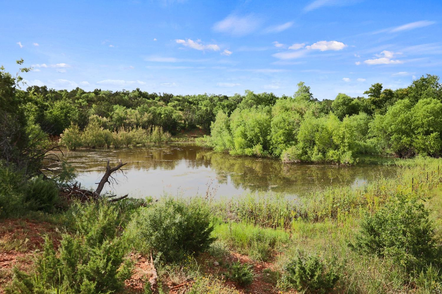 1441 County Road 362