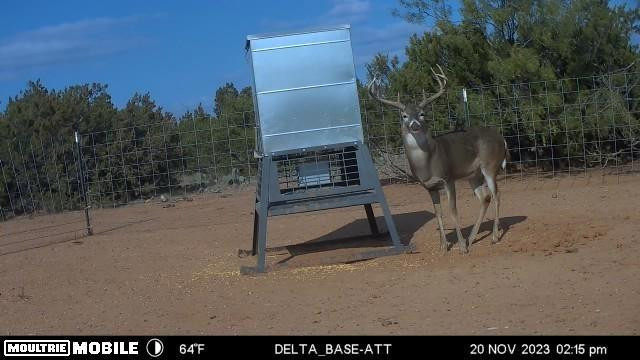 1441 County Road 362