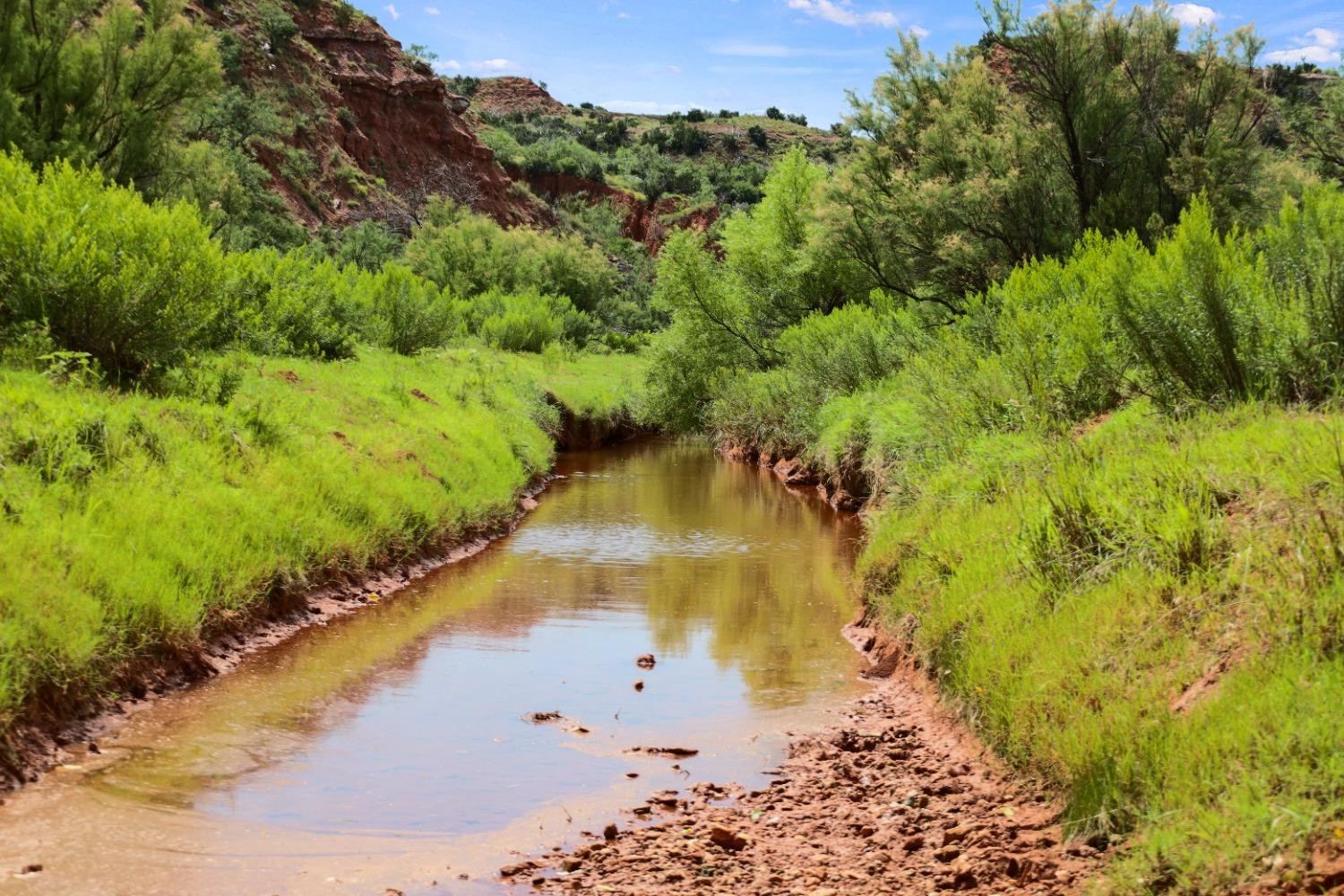 1441 County Road 362