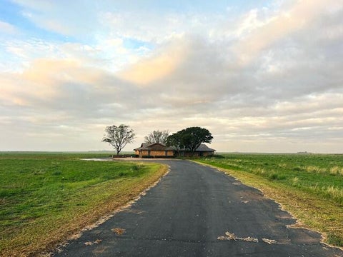 Photo of 17810 Farm To Market Road 179, Wolfforth, TX 79382 (MLS # 202614656)