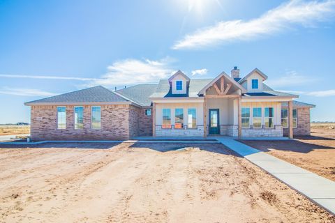 1009 County Rd 7715 Lubbock TX 79423