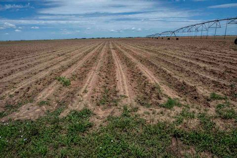 1730 S Slide Road New Home TX 79373