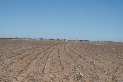 1730 S Slide Road New Home TX 79373