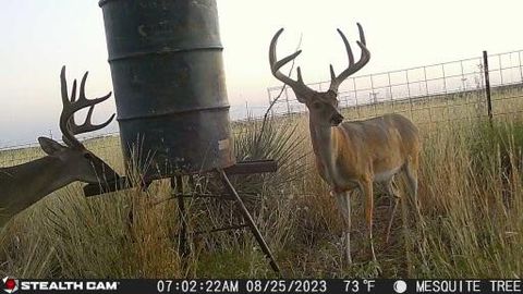 County Road 7 Turkey TX 79261