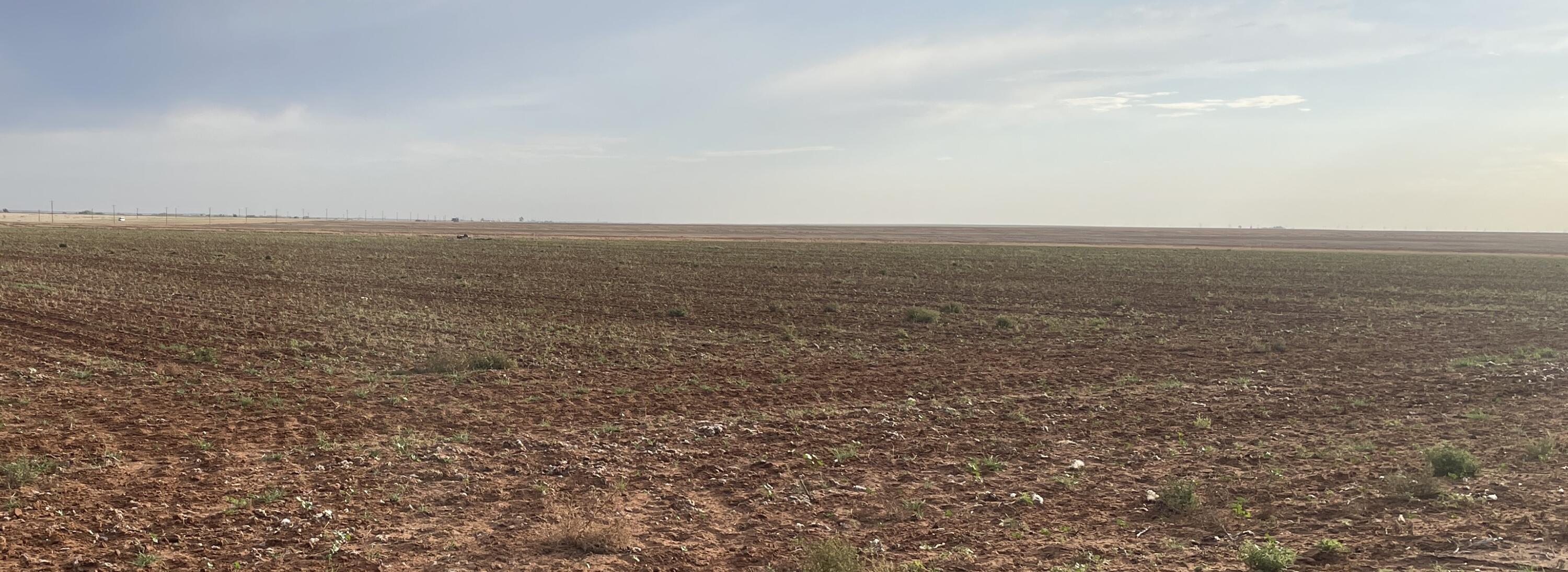 FM 2411 FM 2411