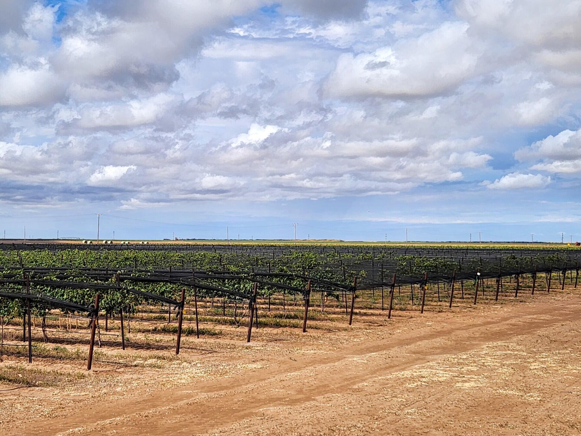 354 Farm To Market Road 1317, Tahoka, TX, 79373 1 354 Farm To Market Road 1317