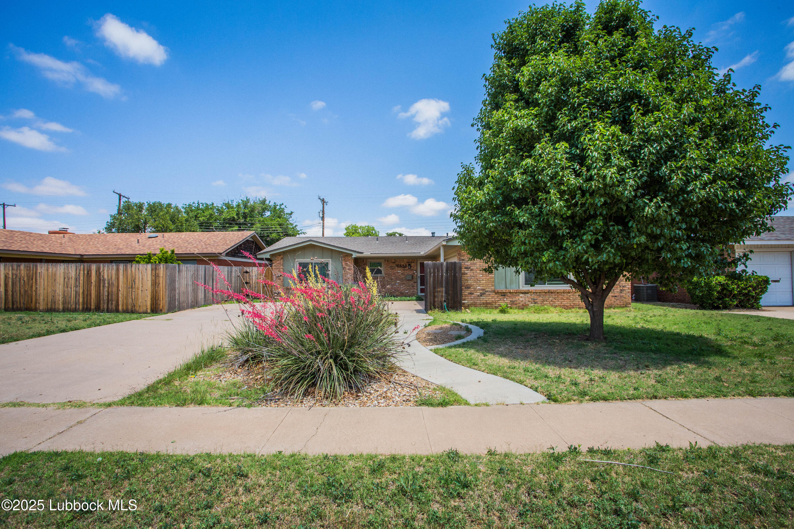 5424 31st Street - Photo 3