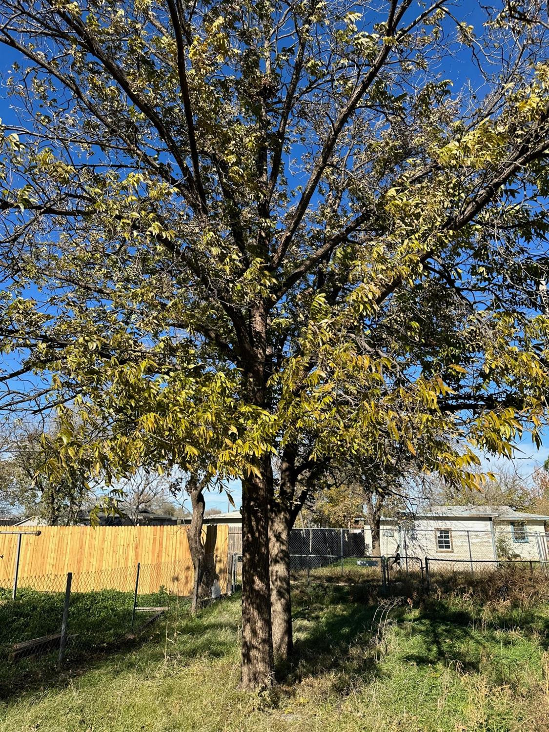 Lubbock, Texas 79414, United States, 3 Bedrooms Bedrooms, ,1 BathroomBathrooms,Residential,Active,103097