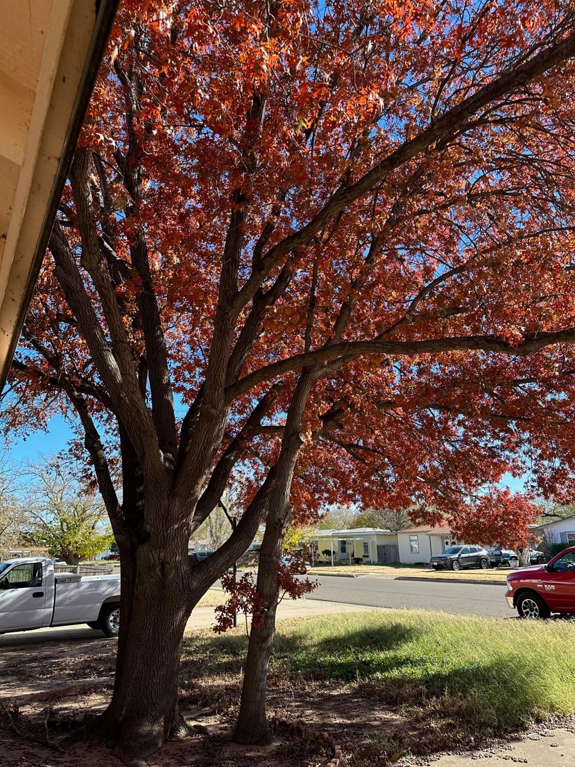 Lubbock, Texas 79414, United States, 3 Bedrooms Bedrooms, ,1 BathroomBathrooms,Residential,Active,103097