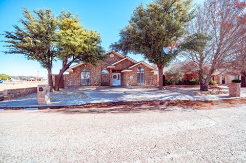 Photo of 101 Fannin Avenue, Levelland, TX 79336 (MLS # 202607078)