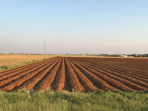 0 FM 2641 Lubbock TX 79415