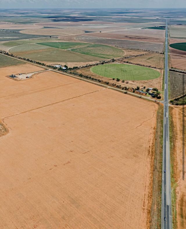 Blackburn Farms