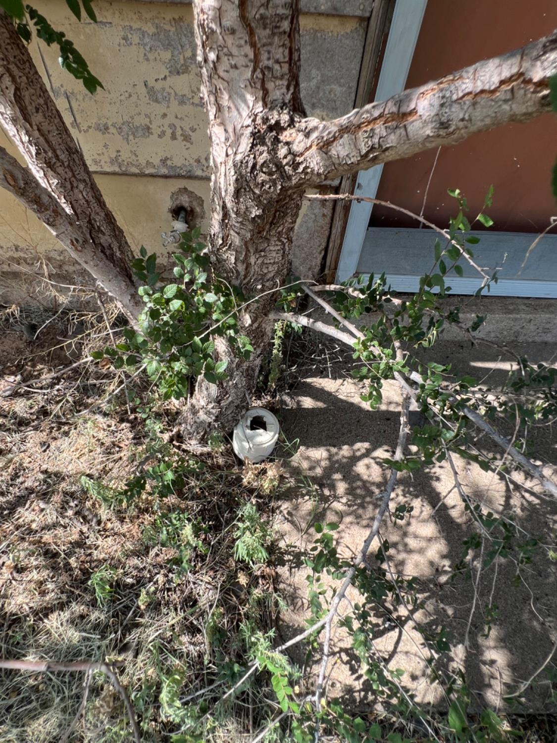 Lubbock, Texas 79403, United States, 1 Bedroom Bedrooms, ,1 BathroomBathrooms,Residential,Active,51477