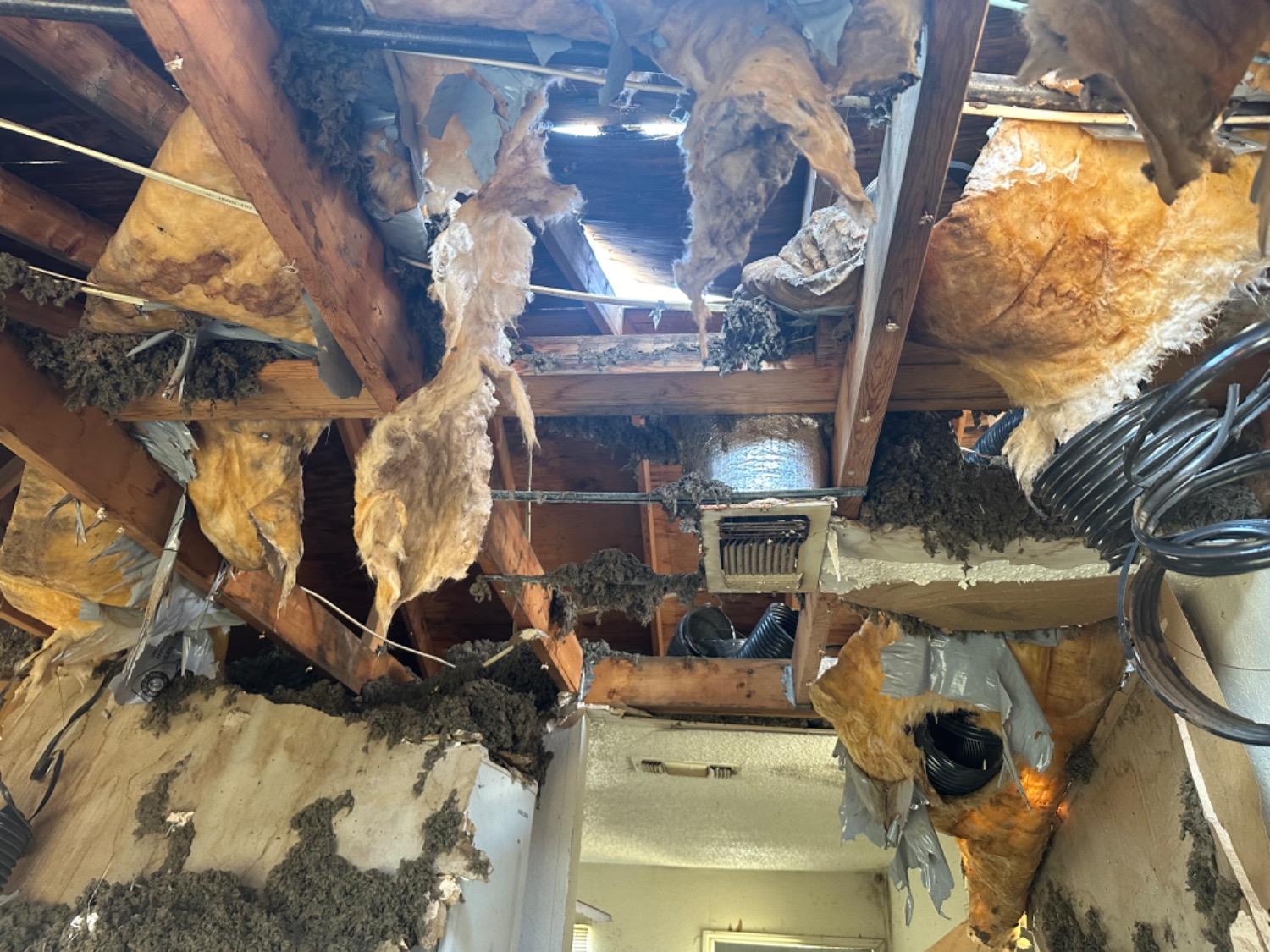 Lubbock, Texas 79403, United States, 1 Bedroom Bedrooms, ,1 BathroomBathrooms,Residential,Active,51477