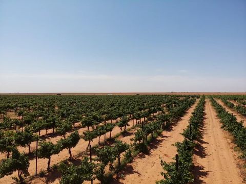 1 US-380 Brownfield TX 79316