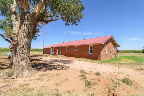 A home in Muleshoe